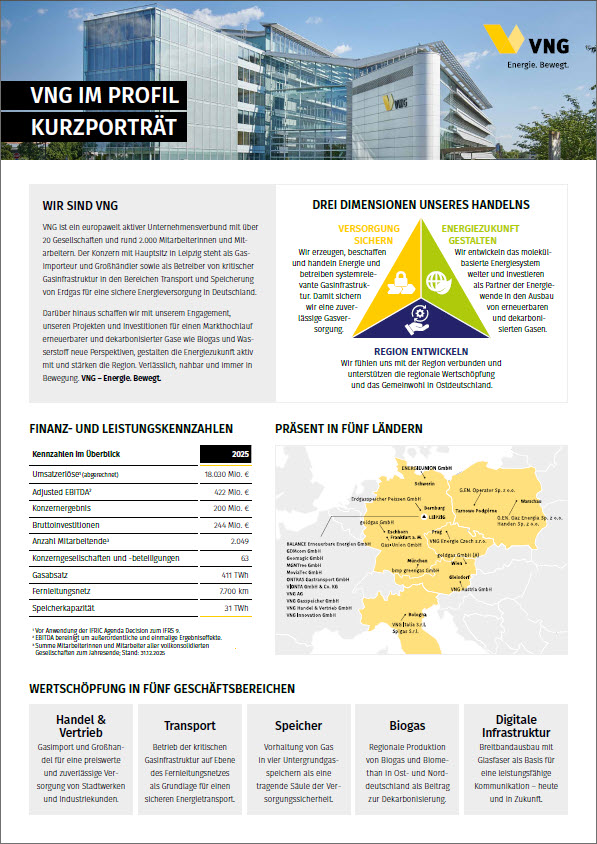 VNG Factsheet DE